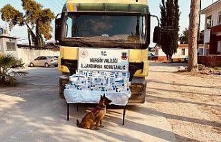 Jandarma 2 bin paket kaçak sigara ele geçirdi