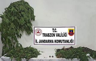 Jandarma uyuşturucu satıcılarına geçit vermiyor