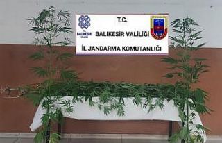 Jandarmadan 13 aranan şahsa operasyon