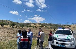 Jandarmadan çevre kirliliğine para cezası