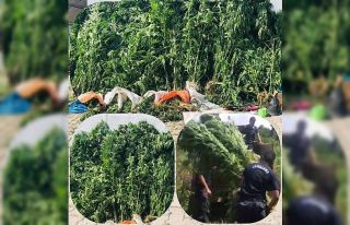 Jandarmadan iki günde büyük operasyon