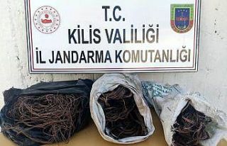 Kablo hırsızları yakalandı