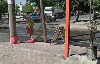 Kaçan dana zor anlar yaşattı