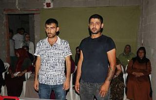 Kafesten çıkarılmışlardı, kendi rızalarıyla...