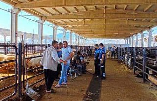 Kahramanmaraş’ta bayram öncesi denetim