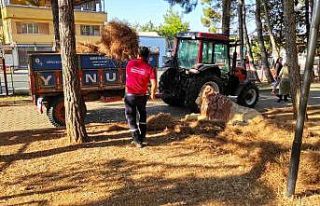 Kahramanmaraş’ta fırtına mesaisi