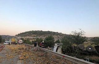 Kamyon devrildi, limonlar yola dağıldı