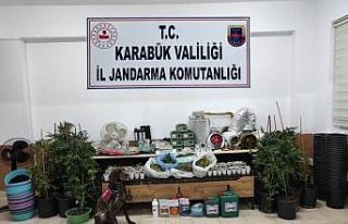 Karabük’te 149 kök kenevir ele geçirildi