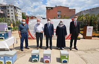 Karabük’te damızlık ana arı ve ana arı çiftleştirme...