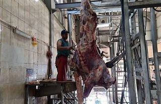 Karabük’te mezbahanede yoğunluk