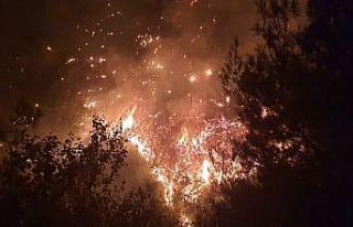 Karacalar köyündeki yangın kısmen kontrol altına...