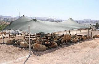 Karaköprü’de kurban satış ve kesim yerleri belirlendi
