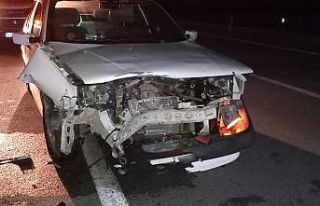 Karayoluna çıkan domuza çarpan otomobil hurdaya...