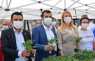 Kardeş belediyelerden vatandaşa fide dağıtımı