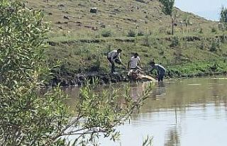 Kars’ta bataklığa saplanan ineği vatandaşlar...