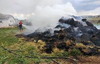 Kars’ta ot yangını