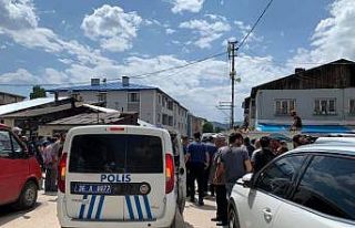 Kars’ta taşlı sopalı ‘hayvan otlatma’ kavgası:...