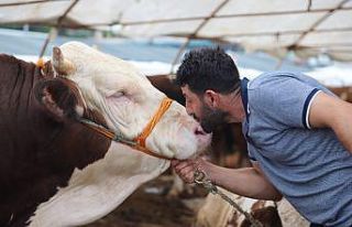 Kartal Belediyesi kurban bayramı hazırlıklarını...