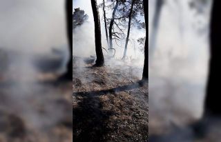 Kastamonu’daki orman yangınları kontrol altına...