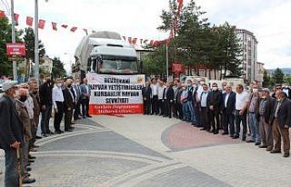 Kastamonu’dan Trakya bölgesine kurban sevkiyatları...