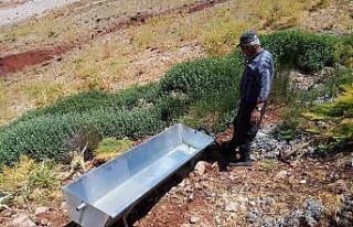 Kavurucu sıcaklarda yaban hayvanları unutulmadı