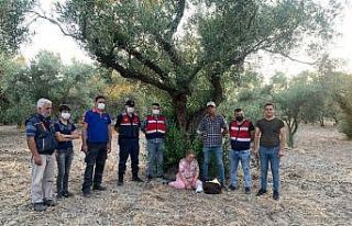Kaybolan engelli kadını jandarma ekipleri buldu