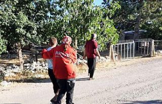 Kayboldu diye aranıyordu, evine döndü