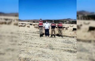 Kayıp çoban ve sürüsü 5 saat sonra bulundu