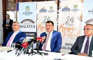 Kayısı Festivali 16-17 Temmuz günleri kutlanacak