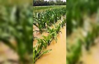 Kaynarca’da yağış tarlaları göle çevirdi