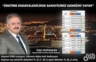 Kayseri OSB Başkanı Nursaçan: "Normalde büyürüz"