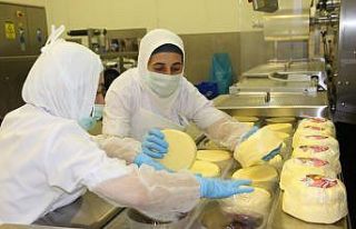 Kebir Süt 98 sıra birden yükseldi