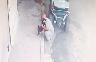 Kedi her sabah sahibini kapıda karşılayarak kucaklıyor