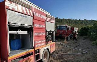 Kepsut’ta ormanlık alandaki yangın korkuttu