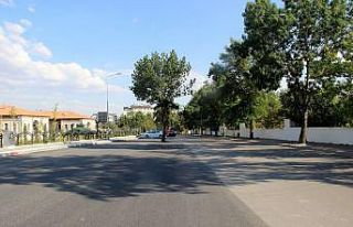 Kesmeye kıyamadıkları ağaç yol ortasında kaldı