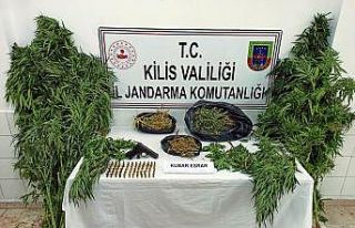 Kilis’te esrar operasyonu: 5 gözaltı