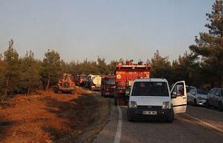 Kilis’teki orman yangını 5 buçuk saatte güçlükle...
