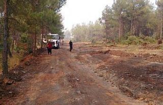 Kilis’teki orman yangını kontrol altına alındı