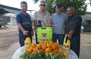 Kimsenin kıymetini bilmediği turunç bitkisinden...