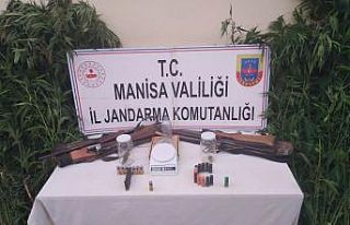 Kiraladıkları arazide kenevir yetiştirmişler