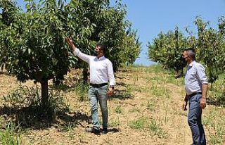 Kiraz üreticilerine manevi destek verdi
