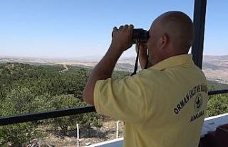 Kırıkkale’de orman ve ağaçlandırma sahalarına...