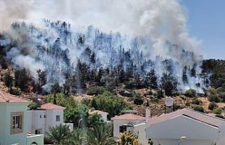 KKTC’de ormanlık alanda yangın