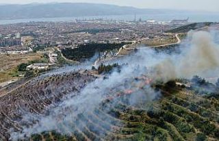 Kocaeli’de orman yangını