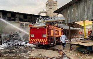 Kontrplak fabrikasında çıkan yangın korkuttu
