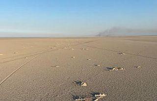 Konya Valiliğinden Tuz Gölü’ndeki flamingo ölümlerine...