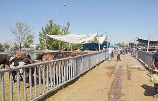 Konya’da Kurban Bayramı arifesinde pazarlarda sakinlik