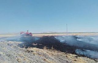 Kopan elektrik teli tarladaki saman balyalarını...