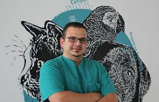 Köpeğinizin geleceğini tehdit eden risk: Meme tümörleri