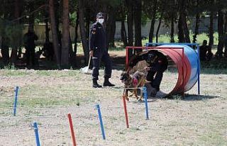 Köpek ve kullanıcılarının yarışı nefesleri...